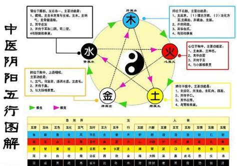 金 水|怎么理解五行理论中的“金生水”？